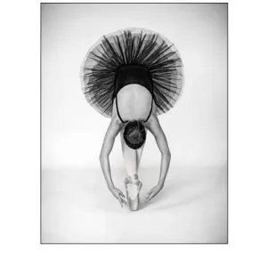 Ballet Technique