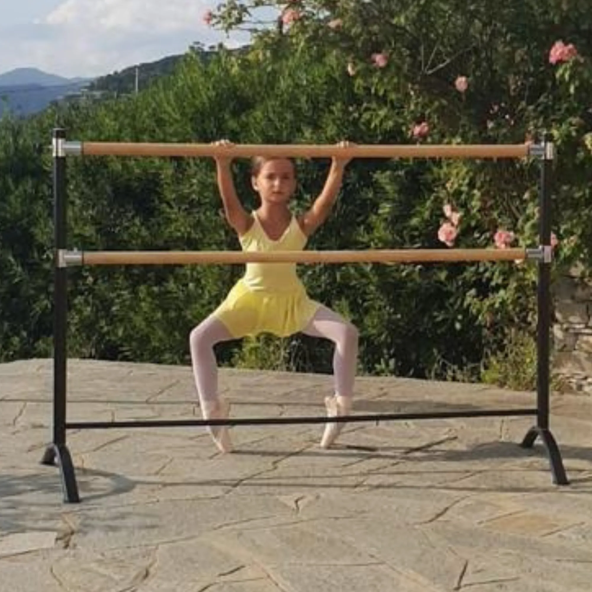 Double Bar Barre - Curved Legs - SLEEPING BEAUTY series