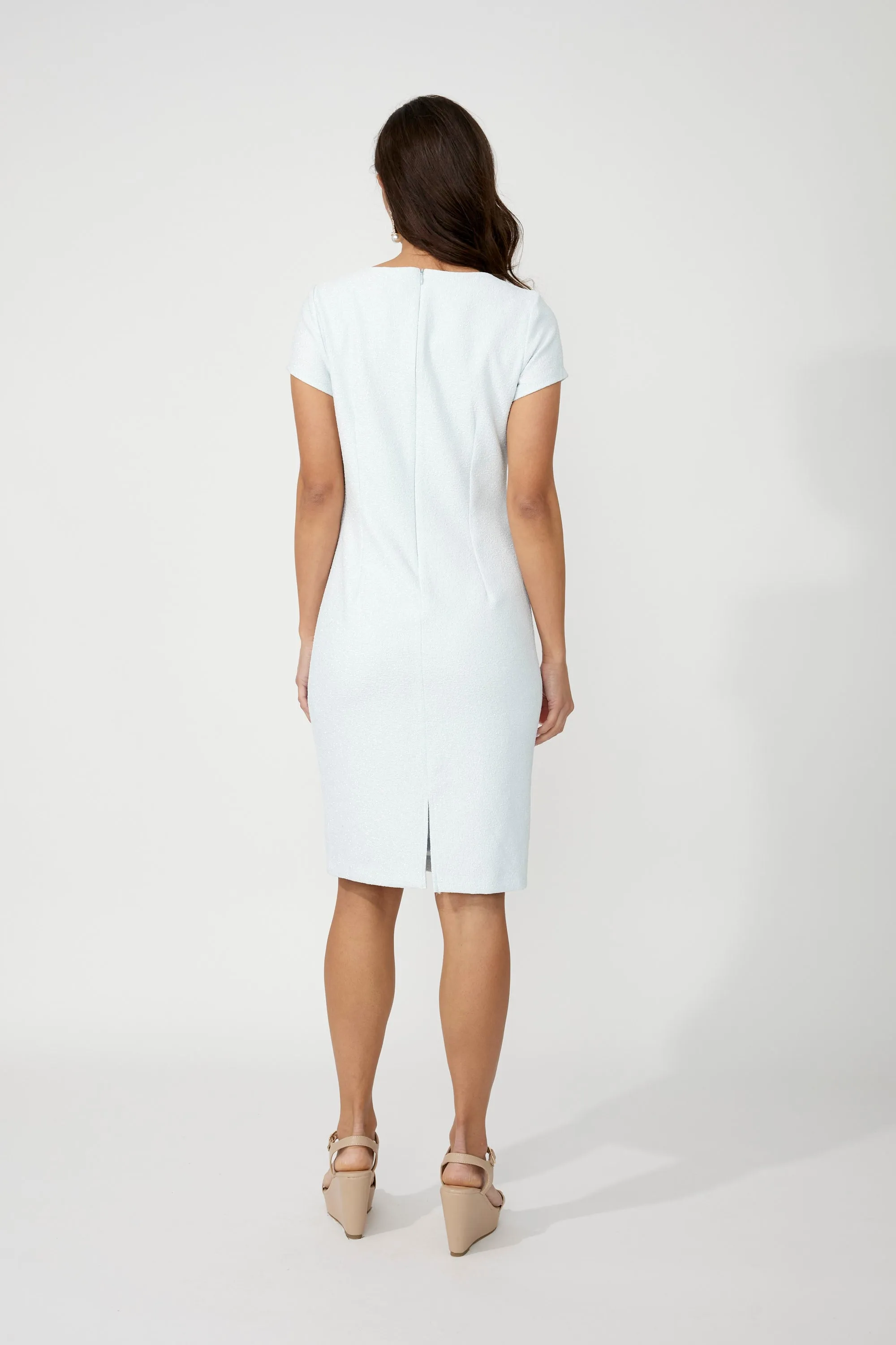 Frank Lyman- Women's Formal Sheath Dress