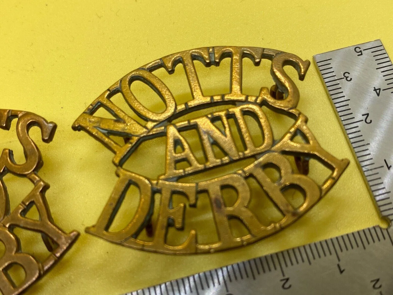 Original Pair of British Army Notts & Derby Sherwood Foresters Shoulder Titl