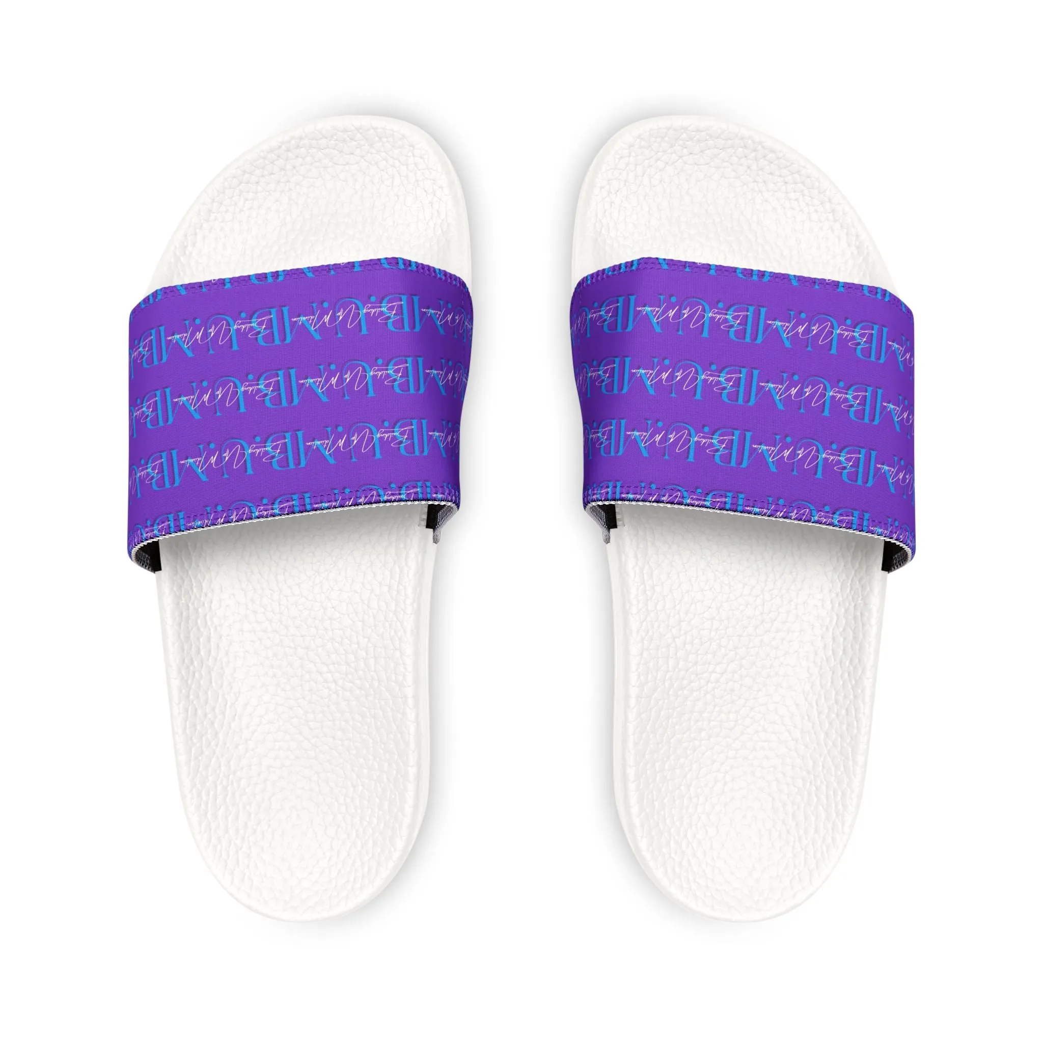 Purple and Blue Slides