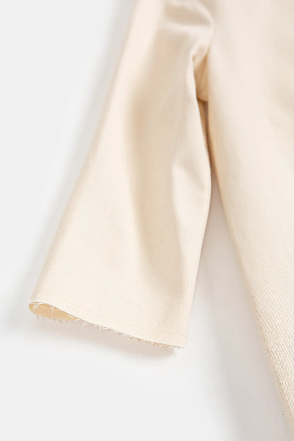 Rye Cotton Canvas Dress In Natural
