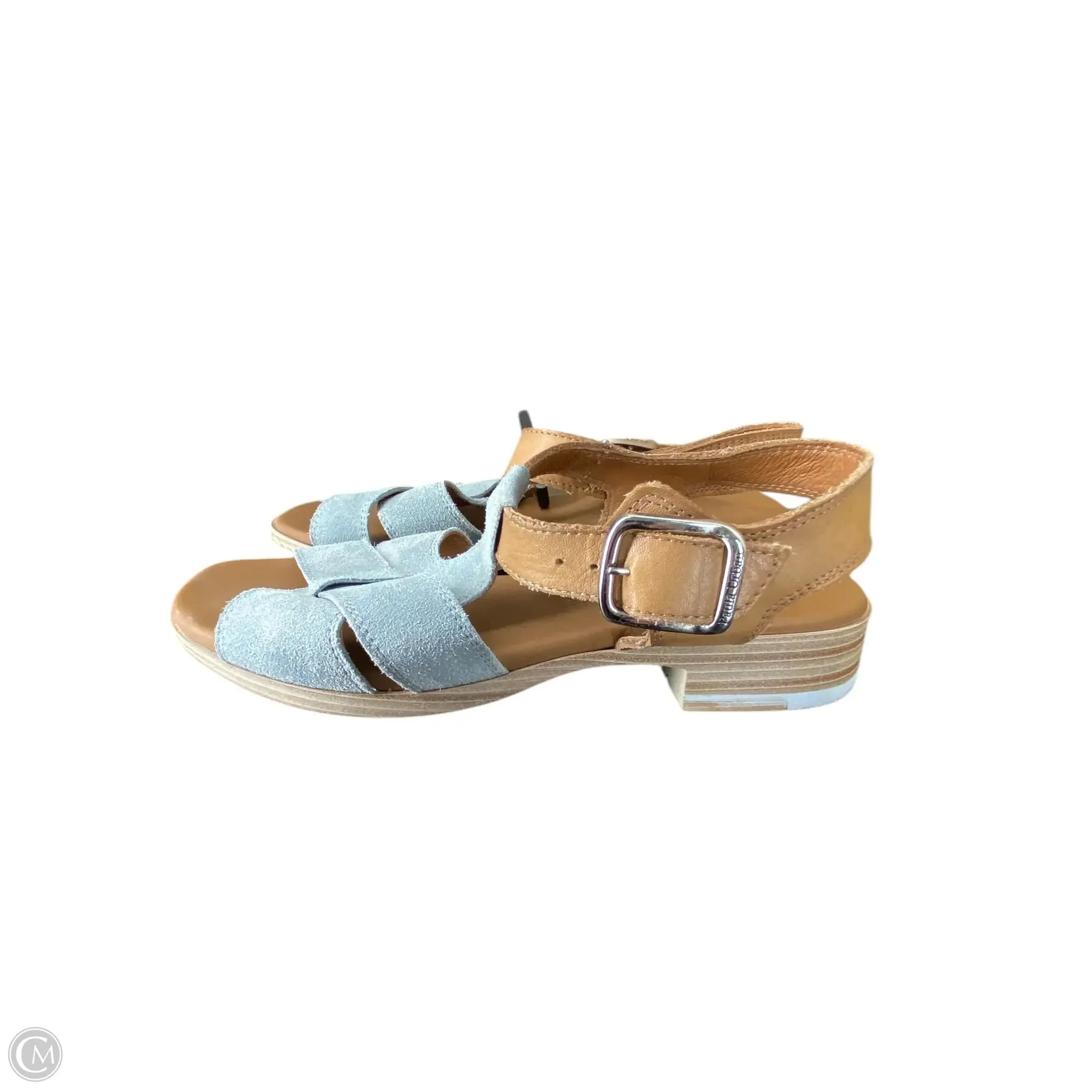 Sandals Flats By Clothes Mentor In Blue, Size: 6