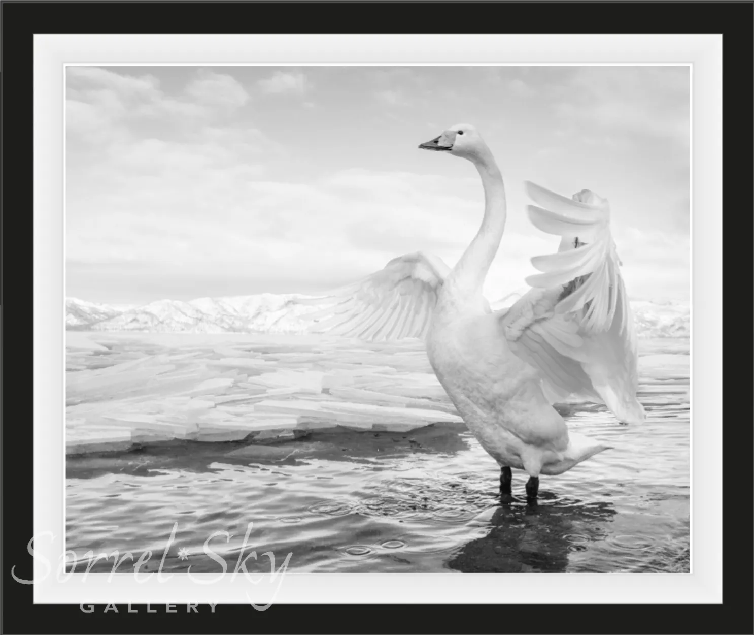 SWAN LAKE