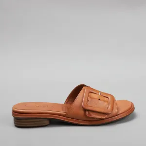 Trend - Tan